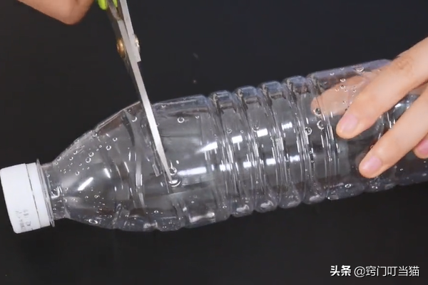 灭蟑螂的特效药_灭蟑螂特效药排行榜_特效的蟑螂药