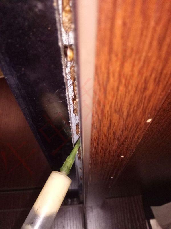 灭蟑螂最有效方法_蟑螂的杀灭方法_蟑螂怎么灭法啊有特效吗