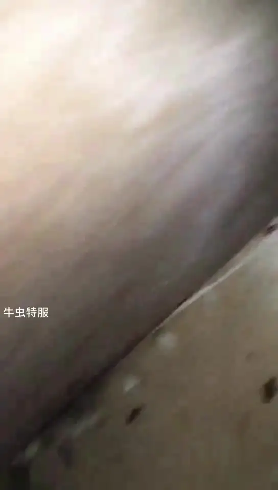 灭蟑螂最有效方法_蟑螂怎么灭法啊有特效吗_蟑螂的杀灭方法