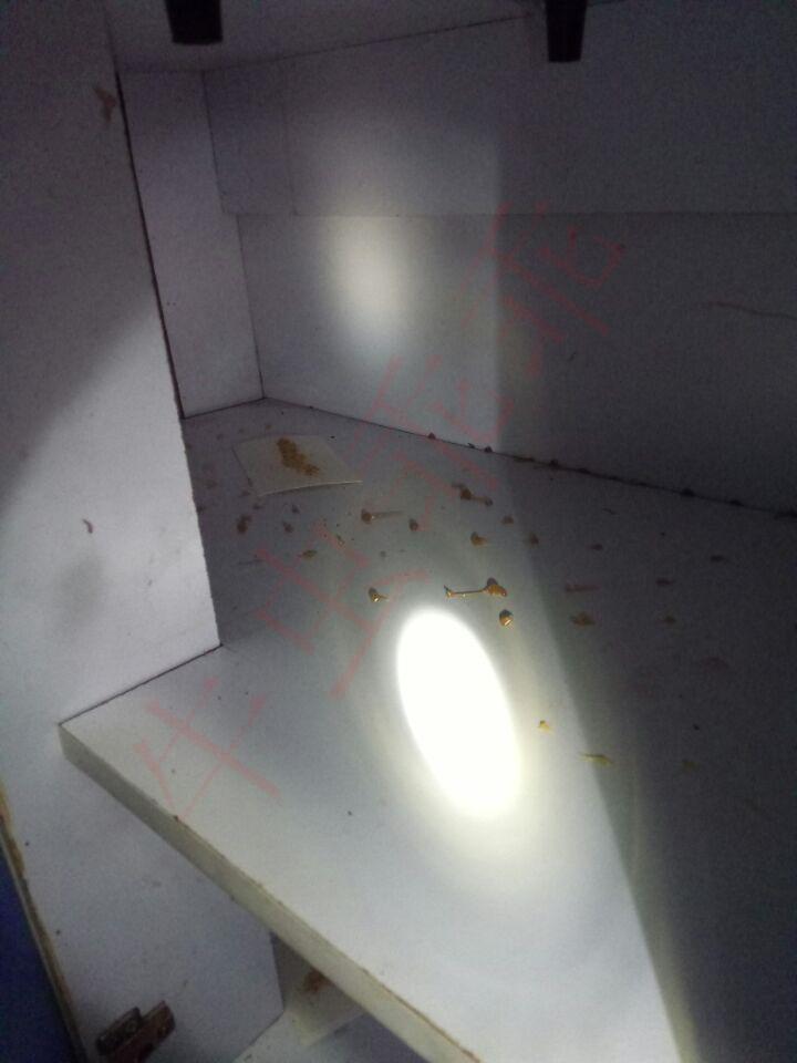 蟑螂怎么灭法啊有特效吗_蟑螂的杀灭方法_灭蟑螂最有效方法