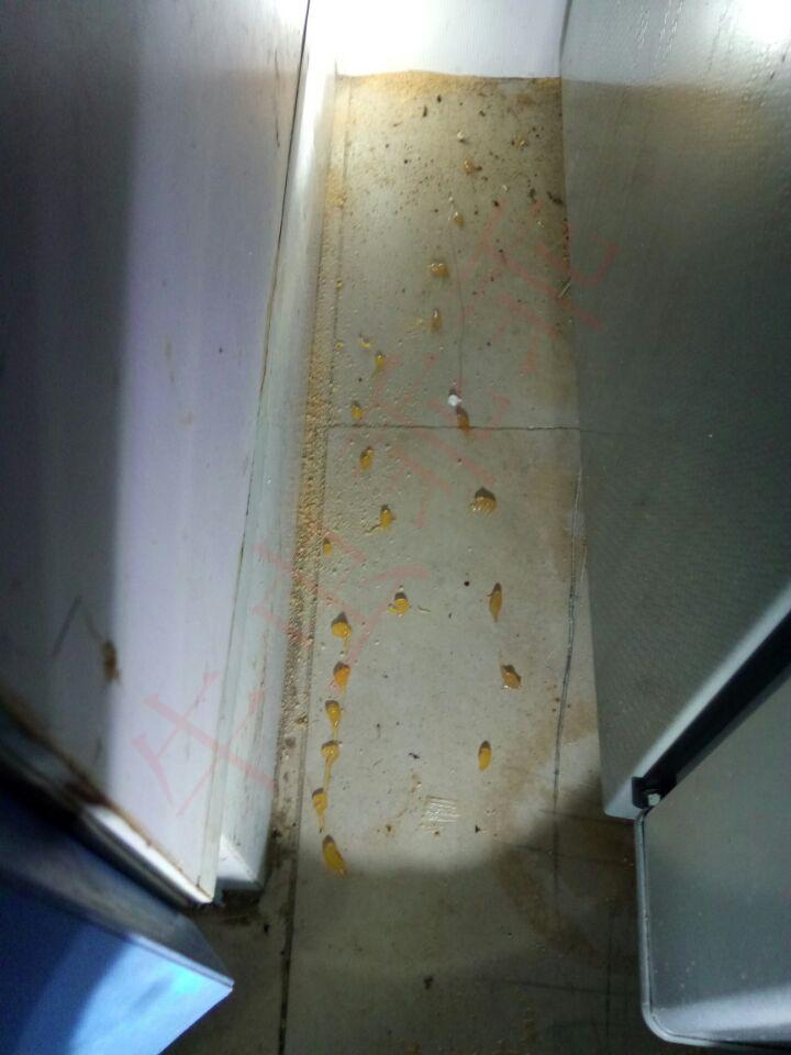 蟑螂怎么灭法啊有特效吗_蟑螂的杀灭方法_灭蟑螂最有效方法