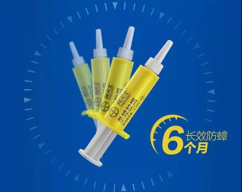 苍蝇神器对人体有害吗_排名第一的灭苍蝇神器_灭苍蝇的神器