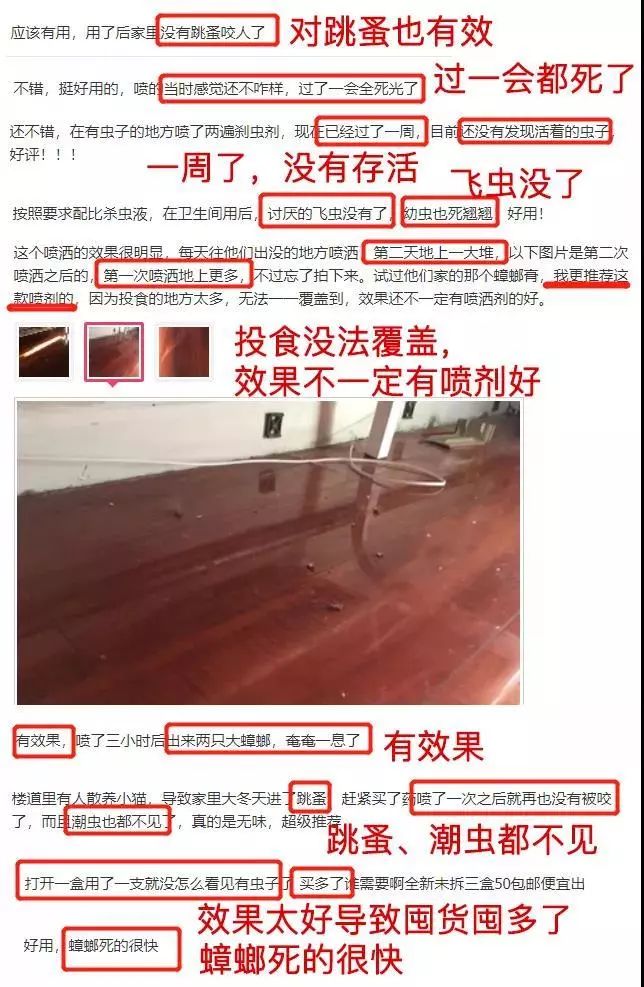排名第一的灭苍蝇神器_苍蝇神器对人体有害吗_灭苍蝇的神器