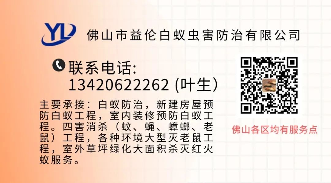 怎么灭苍蝇_灭苍蝇器自制及原理_灭苍蝇